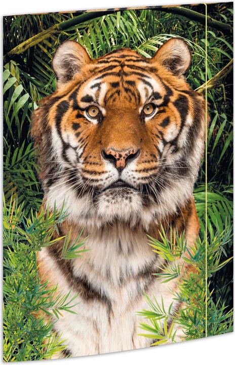 Immagine prodotto Rnk Astuccio da disegno per l'editore DIN A3 Tiger (A3, 1 x)