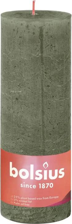 Image du produit Bolsius Andres (4 pcs)