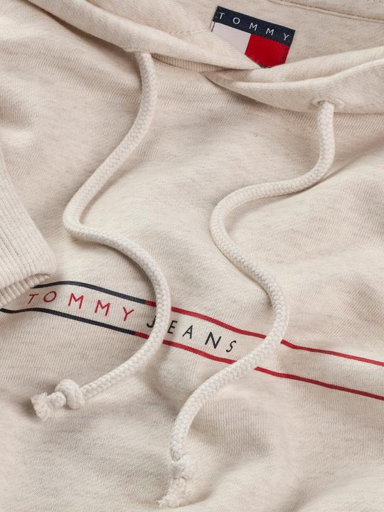 Productafbeelding Tommy Jeans Tjm Reg Entry Graphic Hoodie Ext (S)