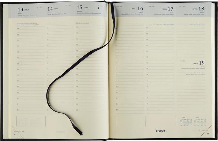 Immagine prodotto Brepols Agenda Timing Alba 2025 26.3.1472 1W/2S assortiti. ML 17x22cm (17 x 22 cm, 1 settimana / 2 pagine)