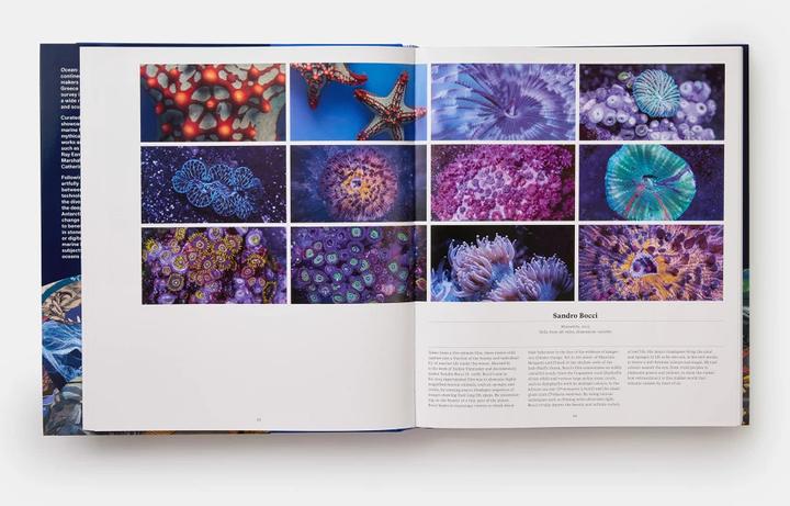 Produktbild Ocean (Englisch, Anne-Marie Melster, Collectif, Phaidon Editors, 2022)
