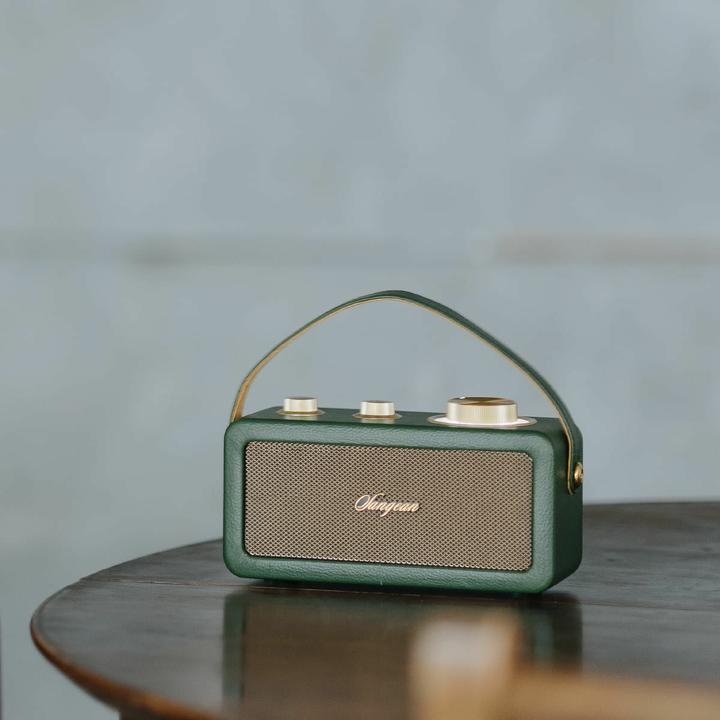 Image du produit Sangean RA-101 Radio à piles FM Bluetooth®, AUX rechargeable Vert, Or (FM, Bluetooth)