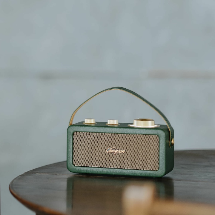 Immagine prodotto Sangean RA-101 Batteria Radio FM Bluetooth®, AUX ricaricabile Verde, Oro (FM, Bluetooth)