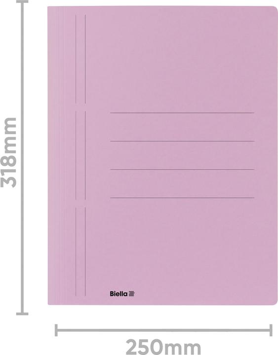 Produktbild Biella Schnellhefter Recycolor (A4, 1x)