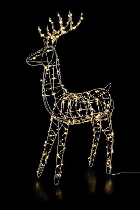 Actual product image STT Reindeer Finley