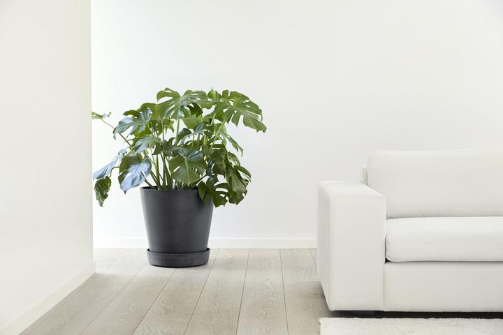 Produktbild Ecopots Saucer on Wheels