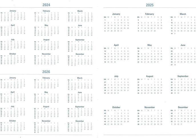 Image du produit Letts Agenda Celebrate (A6)