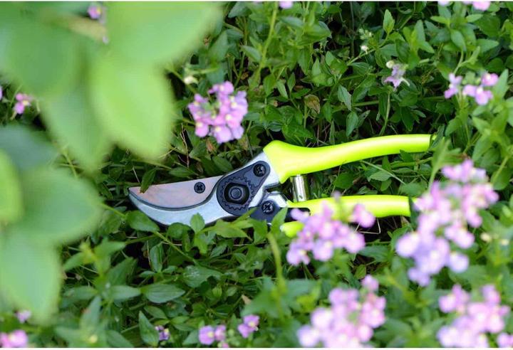 Image du produit Burgon & Ball Sécateur FloraBrite