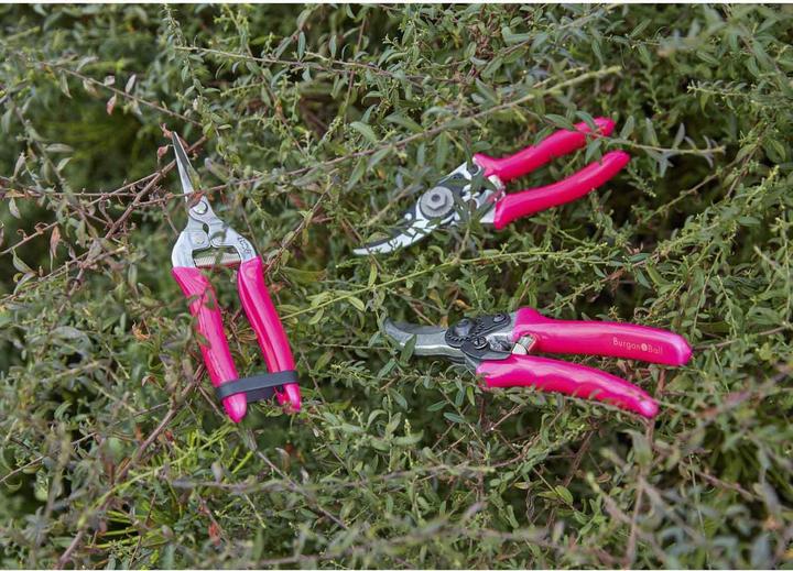 Produktbild Burgon & Ball FloraBrite Gartenschere