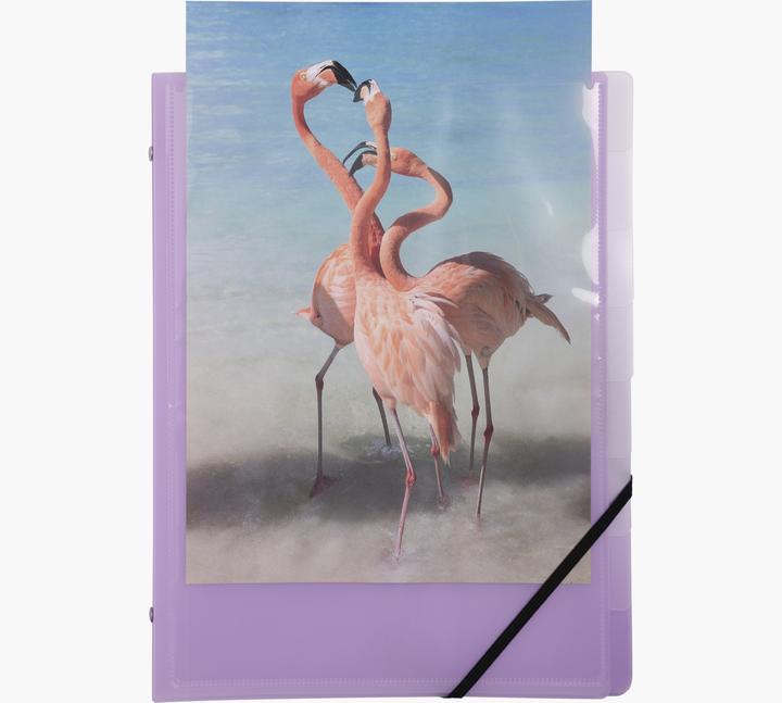 Actual product image Exacompta Crea (A4, 1 x)