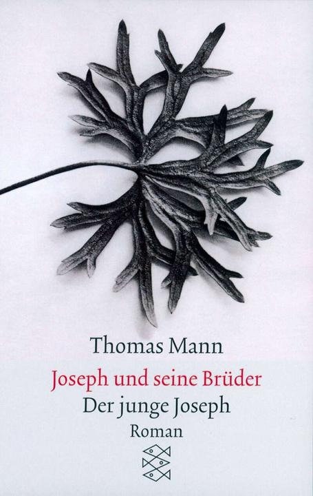 Produktbild Joseph und seine Brüder II. Der junge Joseph (Deutsch, Thomas Mann, 2013)