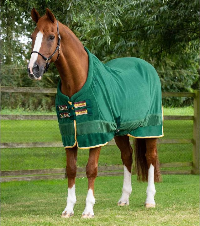 Actual product image Premier Equine Buster Continental 280g (168 cm)
