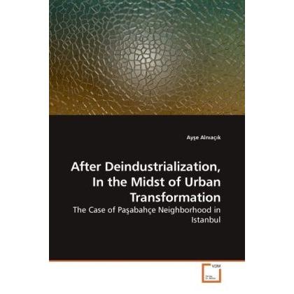 After Deindustrialization, In the Midst of Urban Transformation, Fachbücher