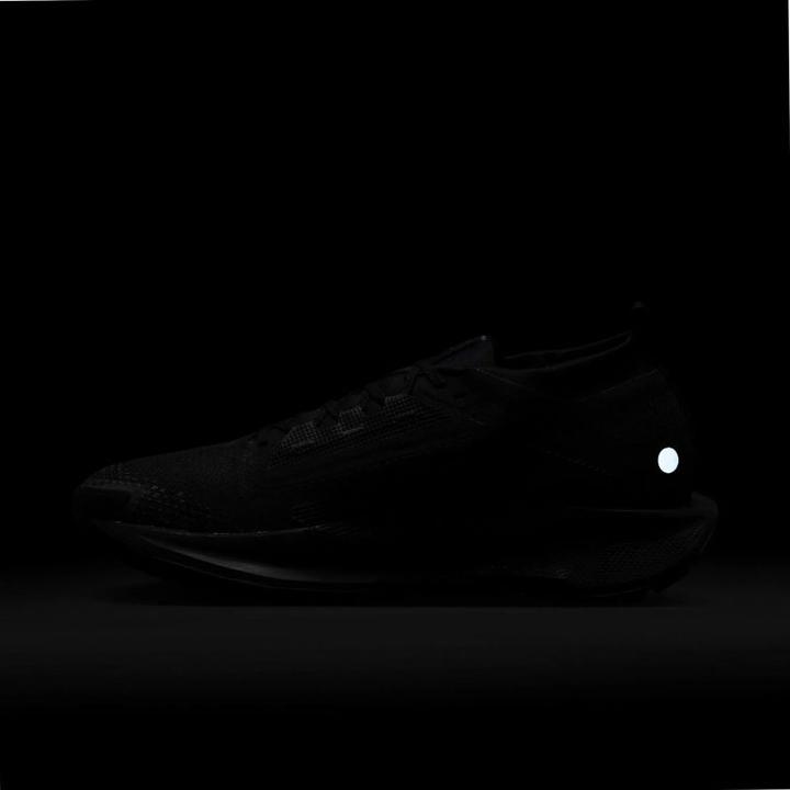 Actual product image Nike Pegasus Trail 5 GORE-TEX (41)