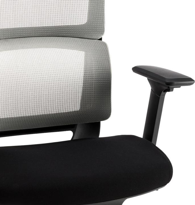 Actual product image Johann Jakob Kaja
