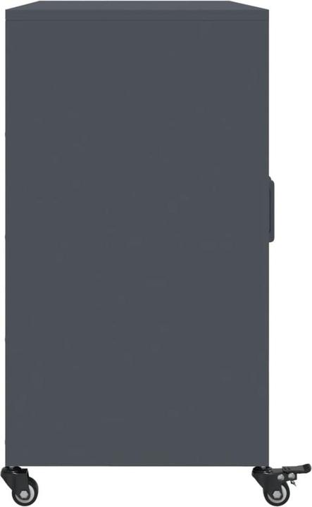 Actual product image vidaXL Cold-rolled sideboard (100.50 x 39 x 72 cm)