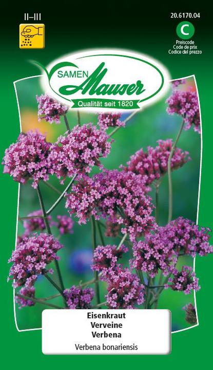Actual product image Samen Mauser Eisenkraut (Flower seeds)