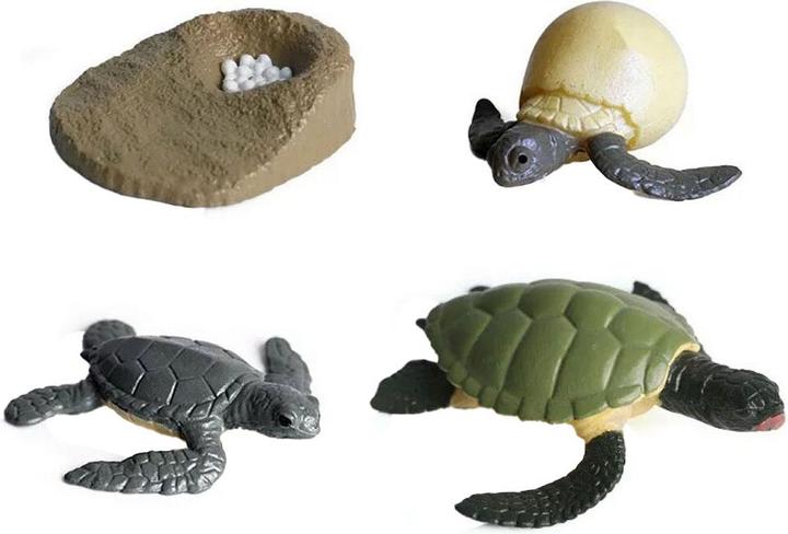 Produktbild Lebenszyklus-Schildkröten-Spielzeugfiguren-Set