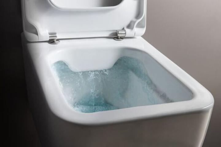 Actual product image Laufen PRO WC seat, with cover, 443x367mm, H89196000001