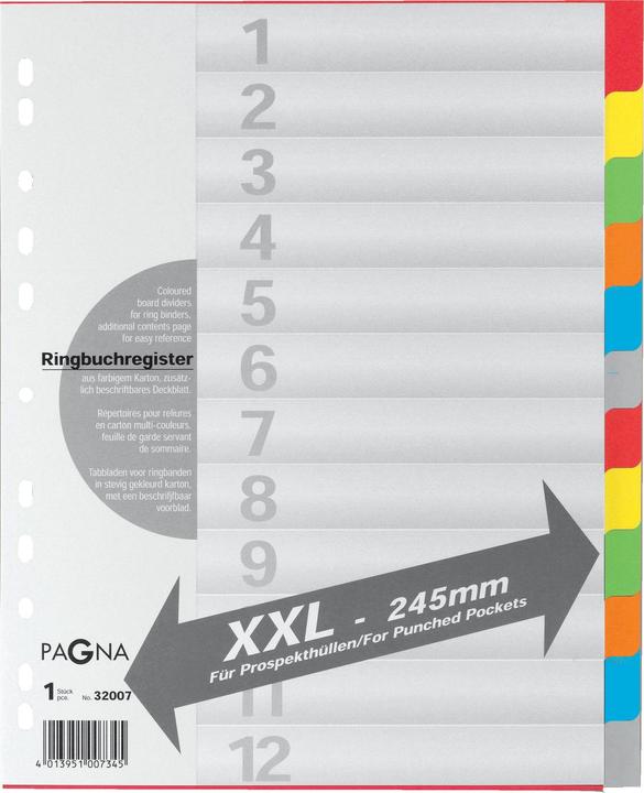 Pagna Cardboard index with cover sheet, for free use, single