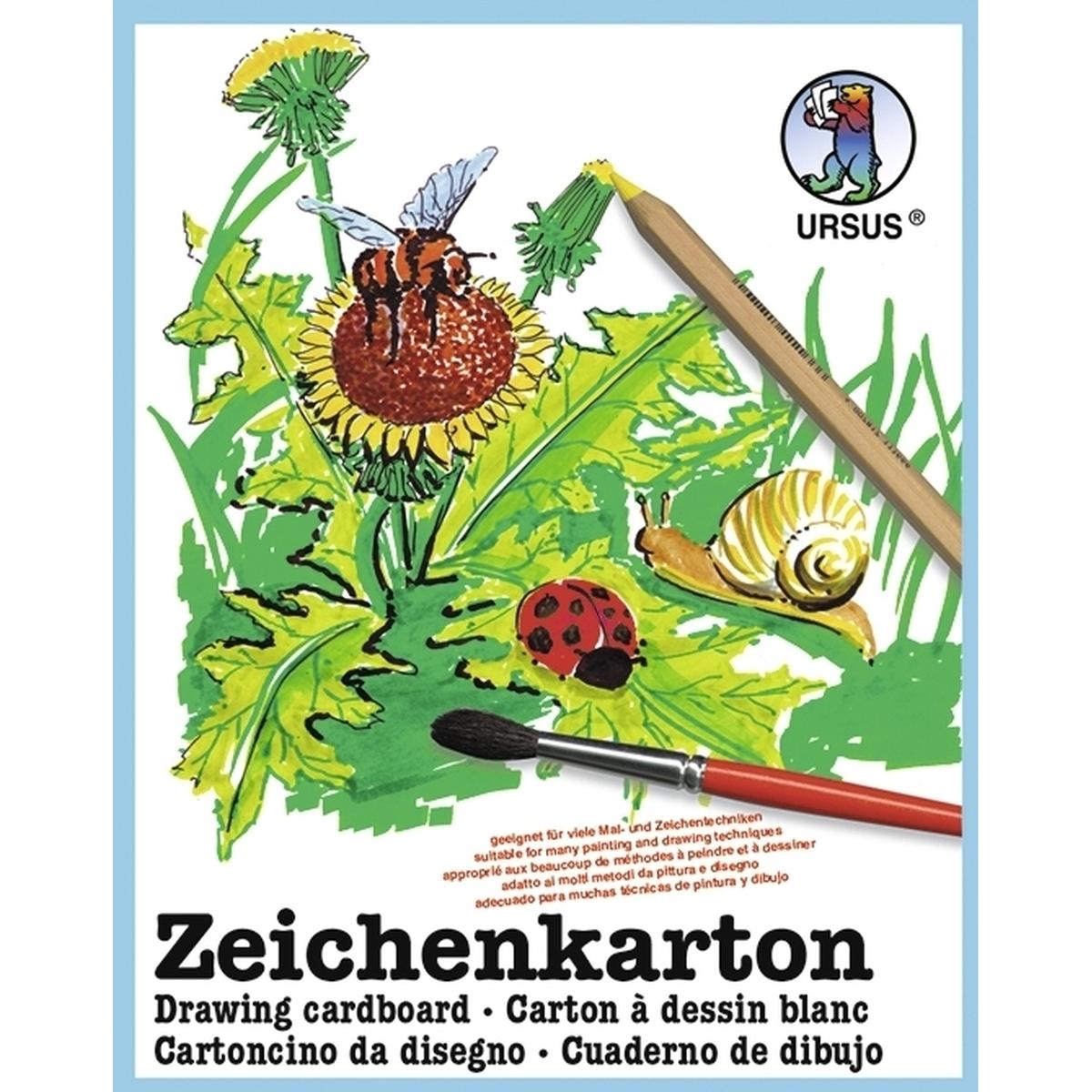 Ursus, Bastelpapier, Zeichenkarton 250g/qm A4 VE=250 Bogen (250 g/m², 1 x)