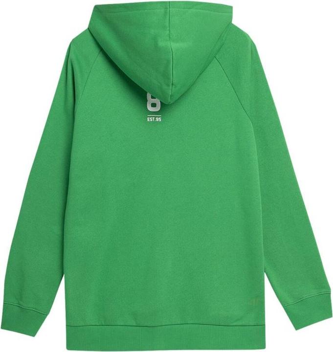 Immagine prodotto 4F Camicetta da uomo verde 4FSS23TSWSM236 41S (M) (M)