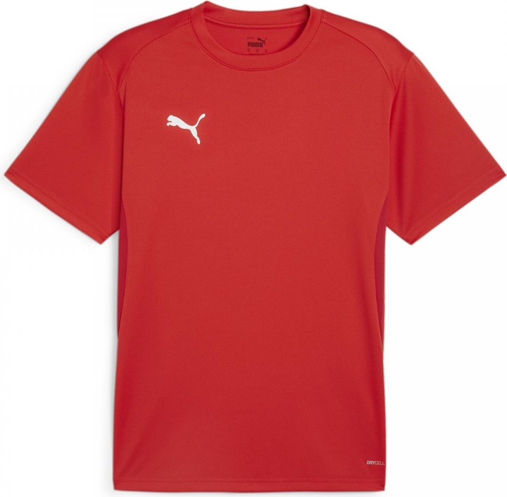 Actual product image Puma teamGOAL Jersey (L)