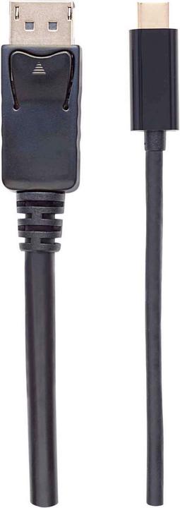 Actual product image Manhattan C – DisplayPort (USB-C)
