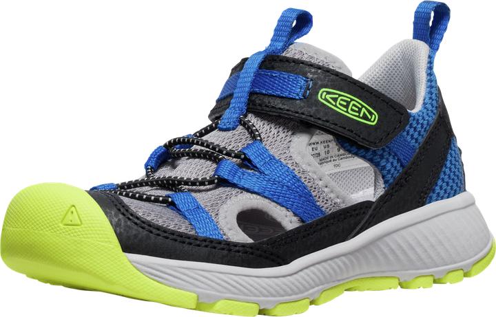 Classic Blue, Evening primrose