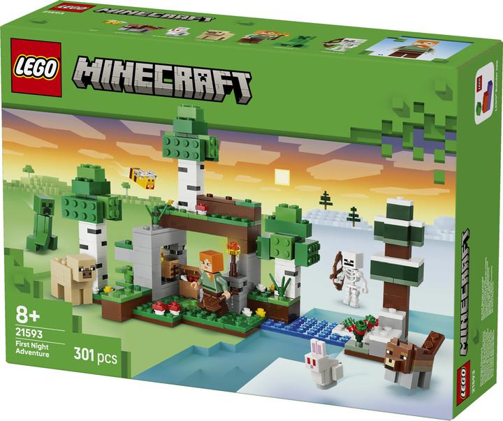 LEGO Erstes Abenteuer in der Nacht (21593, LEGO Minecraft)