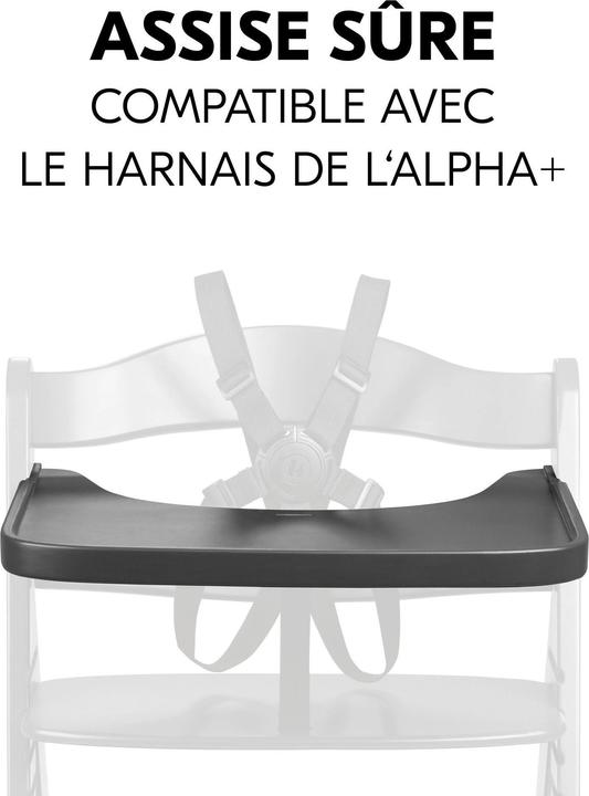 Actual product image Hauck Alpha