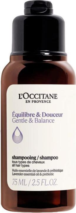 L'Occitane Gentle & Balance Shampoo (75 ml, Flüssiges Shampoo)