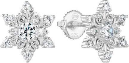 Immagine prodotto Evolution Group Orecchini di design in argento Flakes 11265.1 (L)