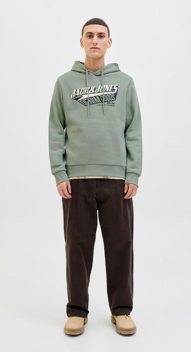 Actual product image Jack & Jones JJELOGO SWEAT HOOD 2 COL 25/26 NOOS (XXL)