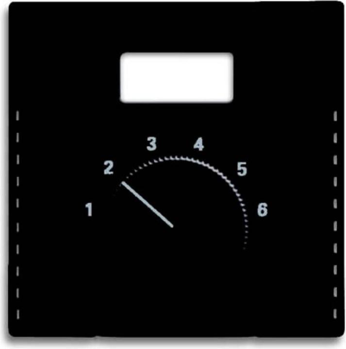 Actual product image Busch-Jaeger Central disk