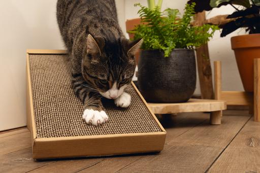 Immagine prodotto Beeztees Meno Una rampa per graffiare (Bianco Marrone)