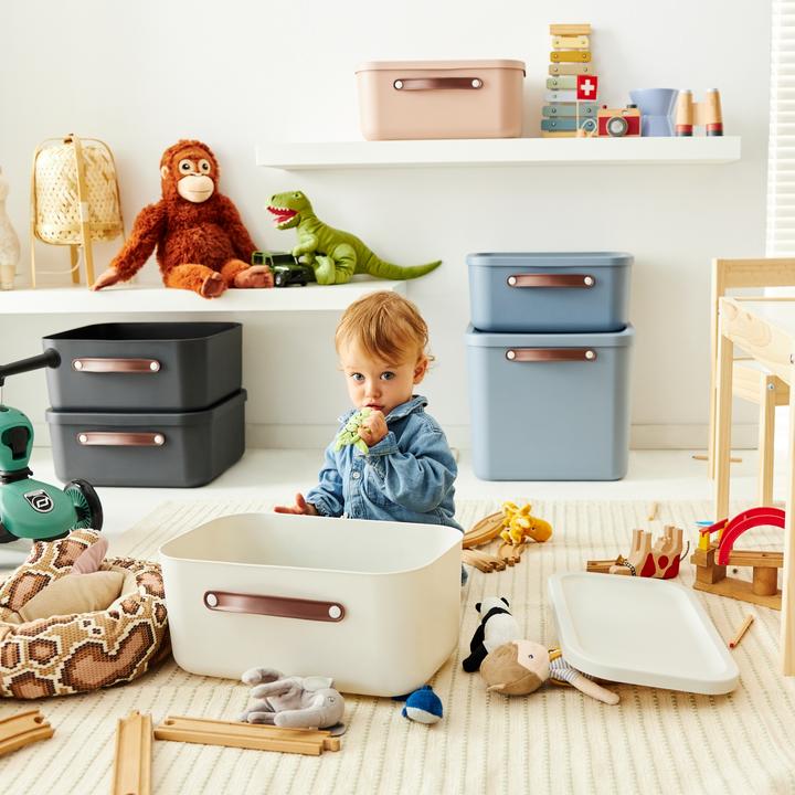 Immagine prodotto Rotho Maloja (39,5 x 26,5 x 18 cm, 12 l)