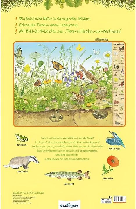 Produktbild Das Riesen-Natur-Wimmelbuch (Deutsch, Christine Henkel, 2018)