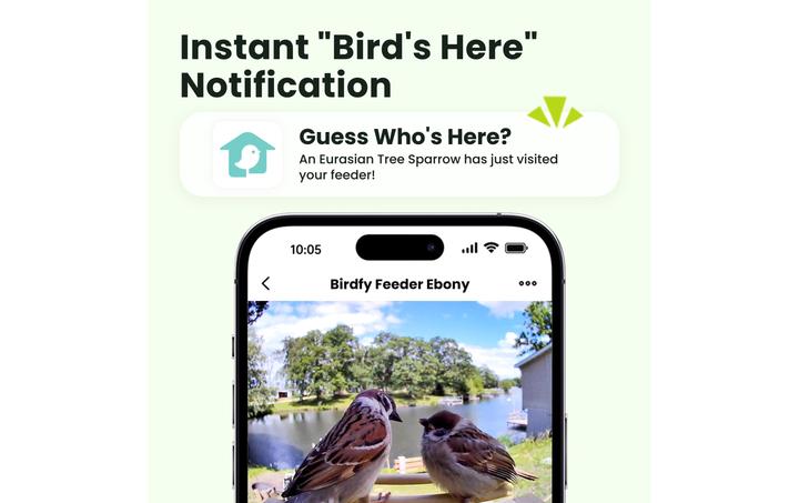 Produktbild Birdfy FSC Vogelfutterhaus mit AI-Kamera