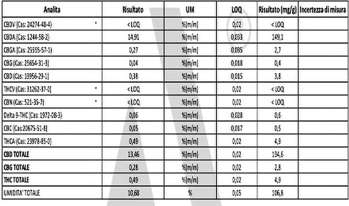 Actual product image KanaOne 2.0 Bubble Gum (12 g, Indoor)