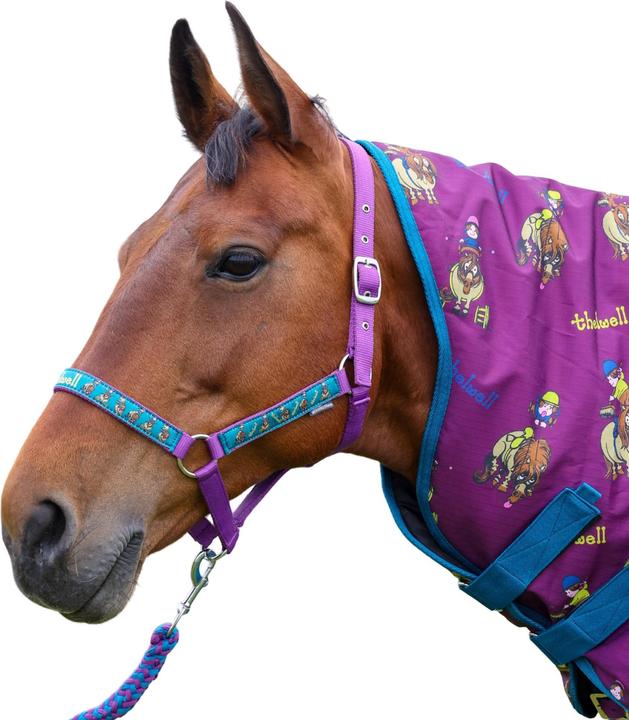 Immagine prodotto Thelwell - AMICI PONY di Licol