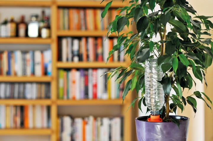 Actual product image Hozelock Holiday irrigation Aquasolo 27