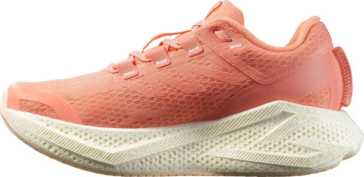 Actual product image Salomon Aero Glide Laufschuhe (37 1/3)