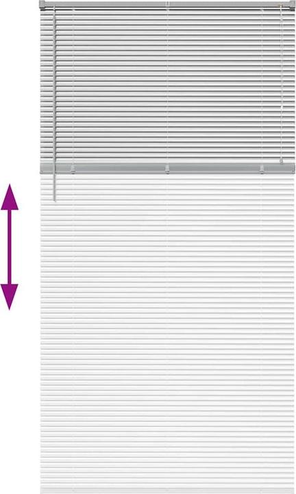 Immagine prodotto VidaXL Tende per finestre (110 x 220 cm)