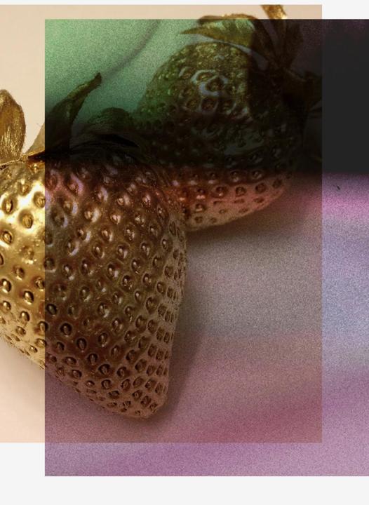 Produktbild The Invisible Project (Deutsch, Englisch, Elodie Pong, 2016)