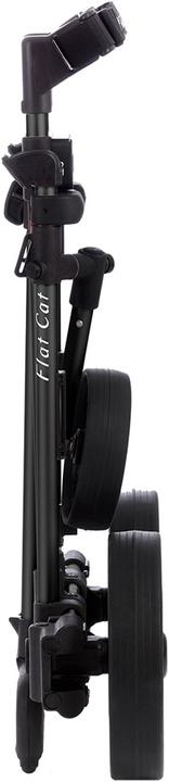 Actual product image FlatCat Gear II Li Fe black