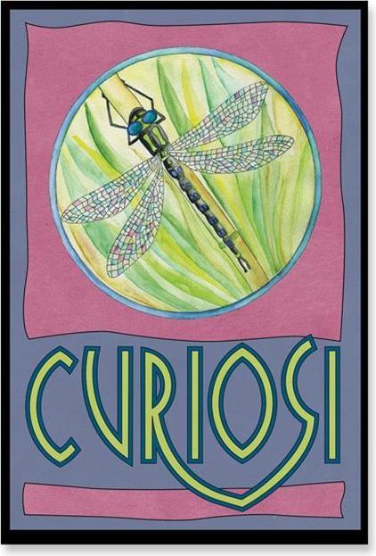 Immagine prodotto Curiosi Picolo Puzzle Pico "Libellula (33 pezzi)