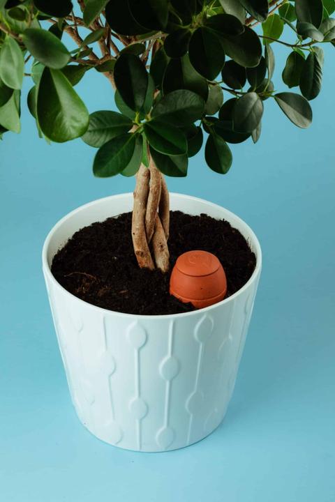 Produktbild WePot Olla S