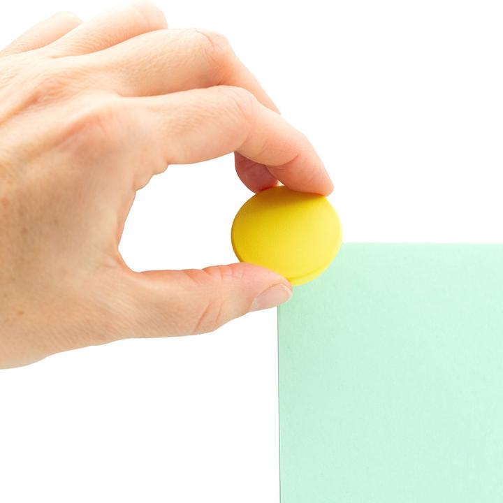 Actual product image Boston Xtra Holding magnet round (1 x)