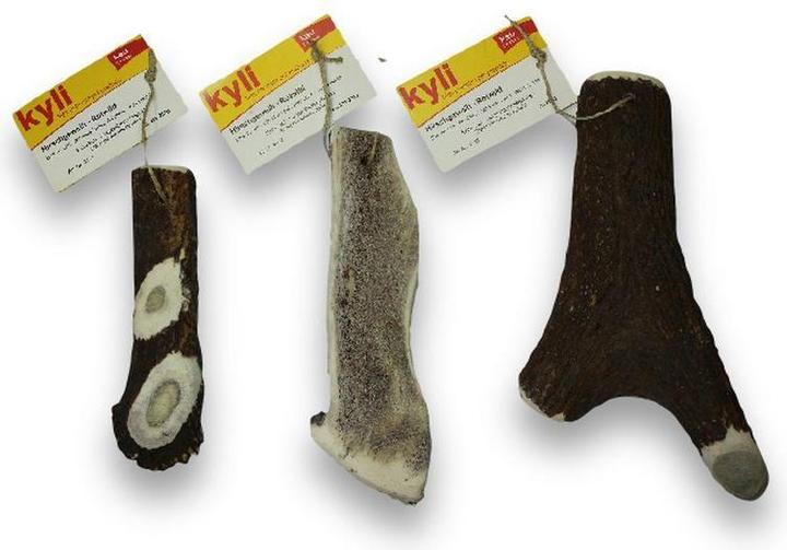 Immagine prodotto Kyli Corna di cervo cervo rosso (Adulto, 1 pz., 66 g)